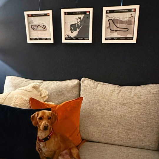 Austin Track Wall Art in Black Square Frame USA Grand Prix